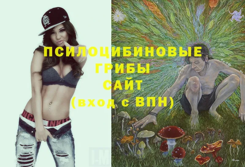 Галлюциногенные грибы MAGIC MUSHROOMS  shop клад  Задонск 